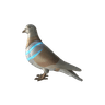 Nuclear Pigeon